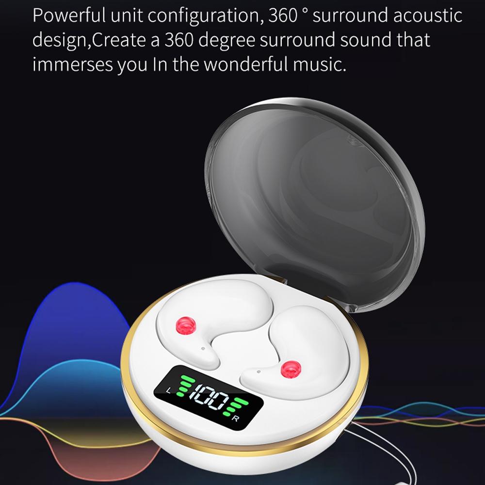 Mini Invisible Bluetooth Earphones with Charging Case – True Wireless, Black, Compact Design