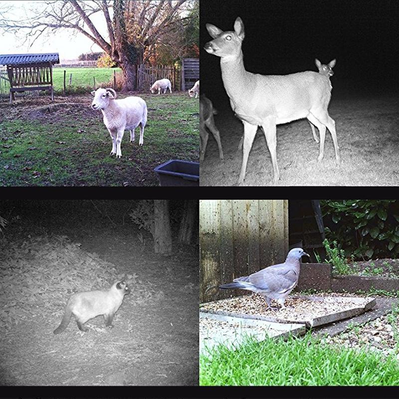 16MP Waterproof Trail Camera – Night Vision, Wide-Angle Lens, LCD Display – Motion-Activated Wildlife Cam