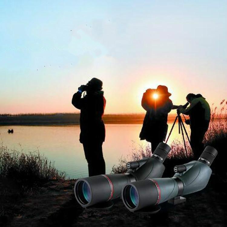 High-Definition Monocular Telescope – Compact Zoom Scope for Bird Watching & Target Viewing – Green
