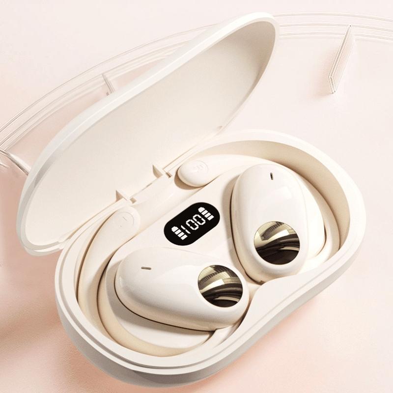 Wireless Bluetooth Earphones with Dual Mic Noise Reduction, LED Display Case, Touch Controls – Black