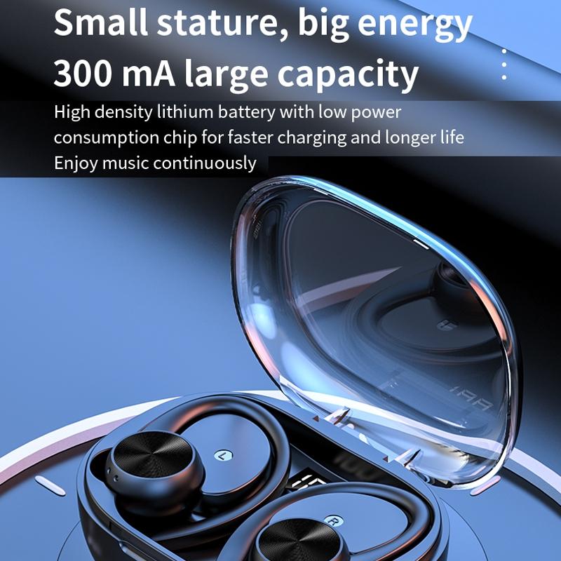 Wireless Earphones with Digital Display & Charging Case – Bluetooth In-Ear, Black