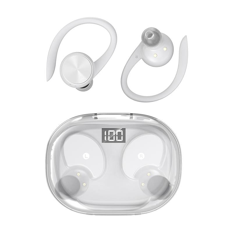 Wireless Earphones with Digital Display & Charging Case – Bluetooth In-Ear, Black