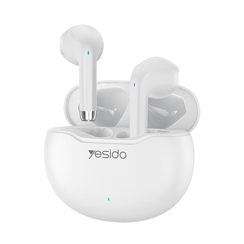 Wireless Bluetooth 5.0 TWS Earbuds with Charging Case – Black
