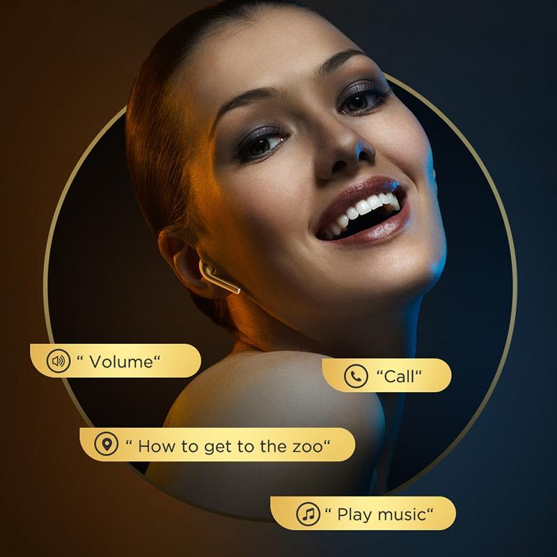 T03S Pride Edition TWS Bluetooth 5.0 Earphones – Silver, Binaural, Clear Sound, Charging Case Included
